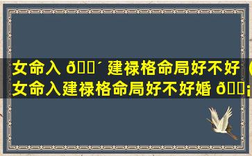 女命入 🌴 建禄格命局好不好（女命入建禄格命局好不好婚 🐡 姻）